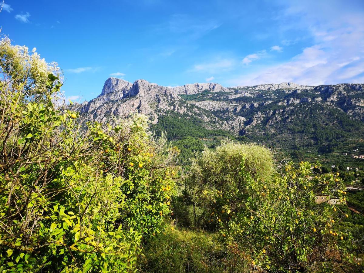 Villa Ideal Sóller Exterior foto